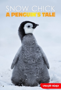 مستند جوجه برفی : داستان یک پنگوئن