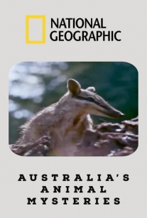 مستند اسرار جانوران استرالیا